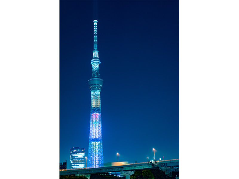“浅草の夜景写真”