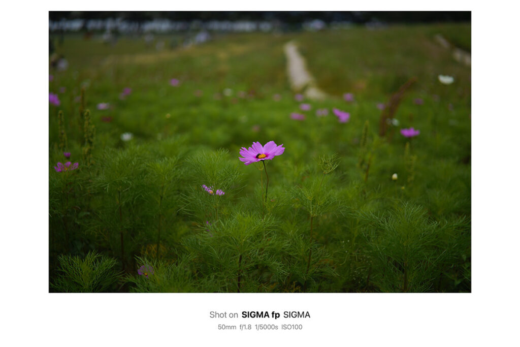 7Artisans 50mm F1.8 AF Lマウント レビュー