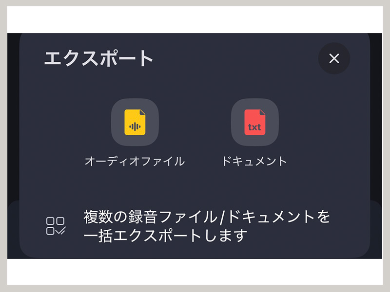 viaim RecDot レビュー