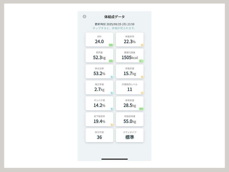issin Smart Bath Mat レビュー
