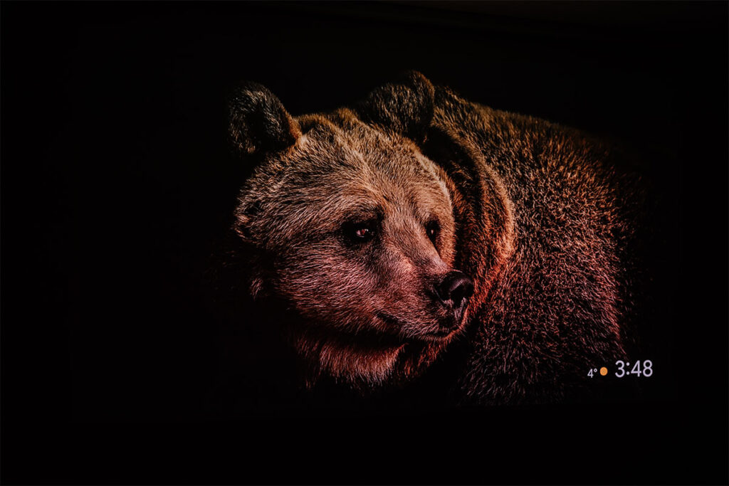 XGIMI HORIZON 20 Pro レビュー