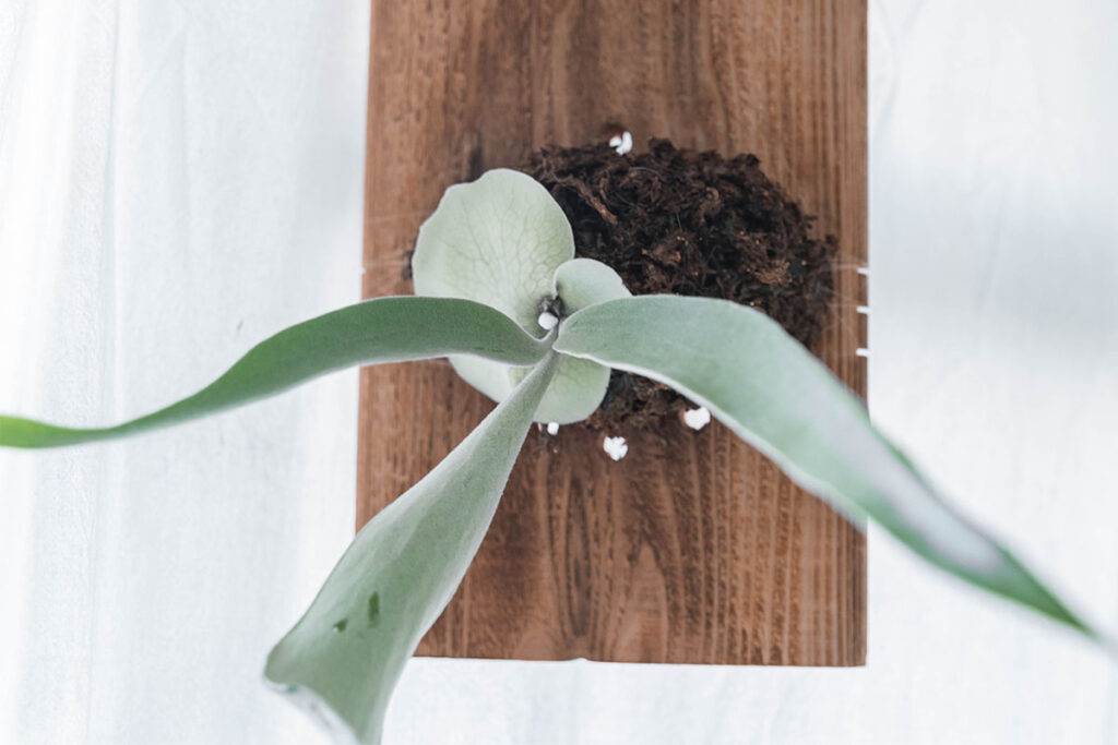 2025年 ベストバイ モノ ガジェット