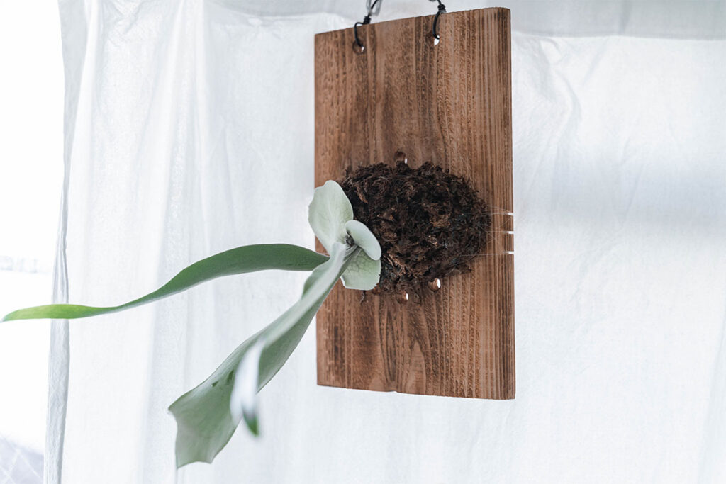 2025年 ベストバイ モノ ガジェット