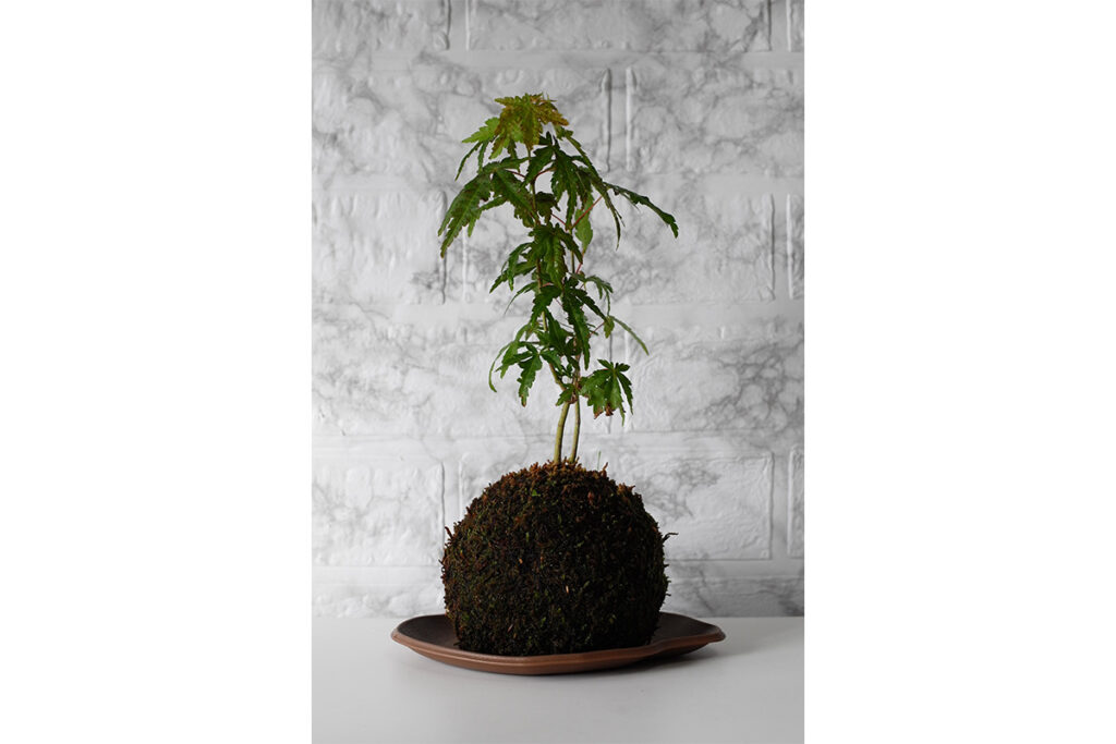 2025年 ベストバイ モノ ガジェット