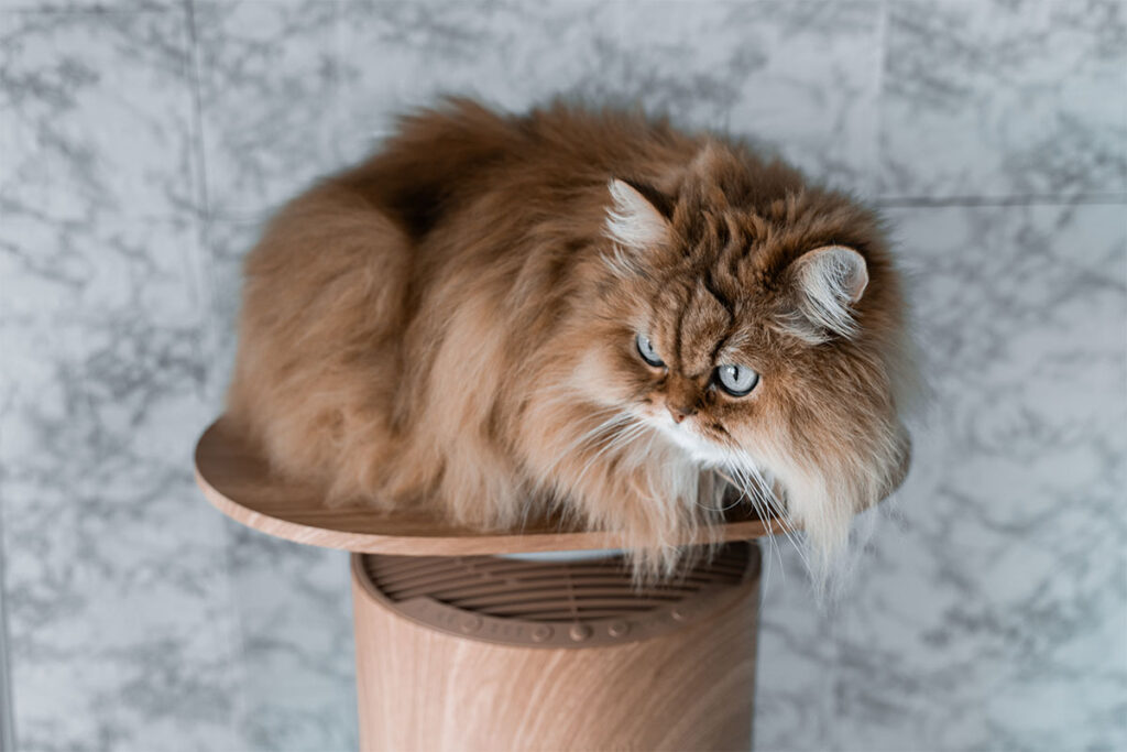 SwitchBot 空気清浄機Table レビュー