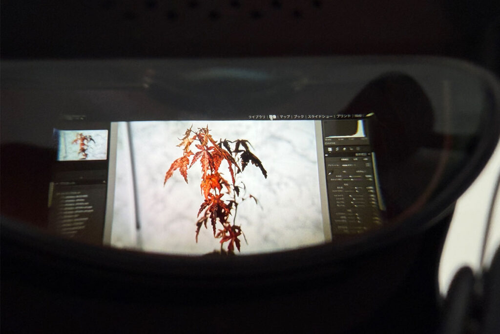 Rokid Max レビュー