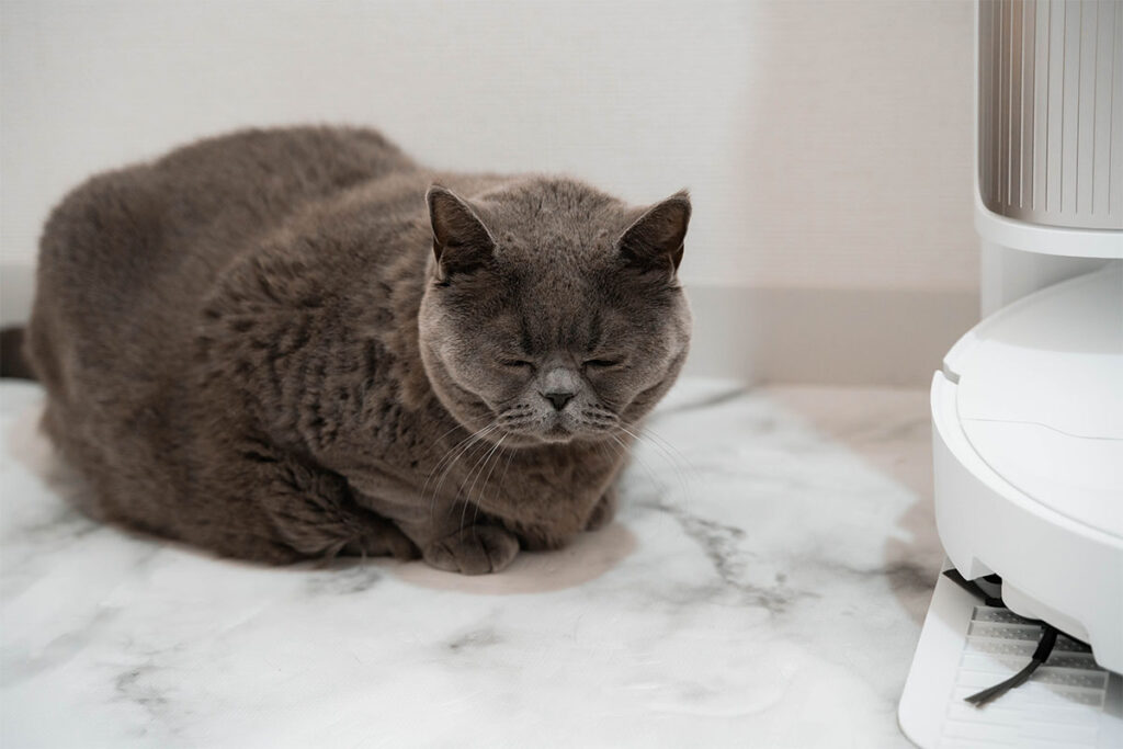 Dreame L40s Pro Ultra レビュー